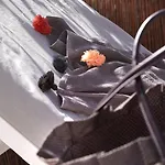 Brit Confort Le Revest ホテル サント・マキシム