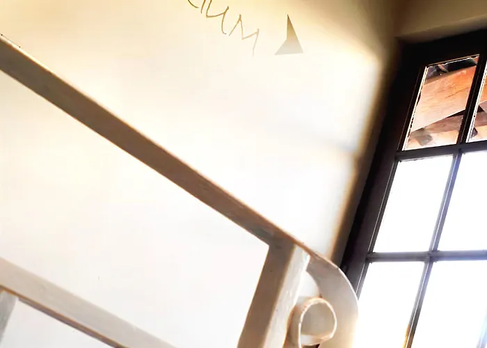 Brit Confort Le Revest Σαιντ-Μαξίμ